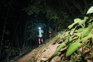 BIB: 
                            <button type="button" onclick="openModal(28117288)" class="btn btn-primary btn-sm float-right btn-popup" data-toggle="modal" data-target=".modal-high-quality">
                        <i class="fas fa-shopping-cart"></i> Add to Cart
                    </button>
                                            <button type="button" onclick="isThisMe(28117288, true)" class="btn btn-success btn-sm float-right btn-popup btn-isme hidden" data-toggle="tooltip" data-placement="bottom" title="นี่คือรูปของคุณใช่ไหม คลิกที่นี่เพื่อเอาเข้าอัลบั้ม">
                        <i class="fas fa-plus"></i> Add to album
                    </button>
                    <button type="button" onclick="isThisMe(28117288, false)" class="btn btn-warning btn-sm float-right btn-popup btn-isnotme hidden">
                        <i class="fas fa-ban"></i> Remove from album
                    </button>